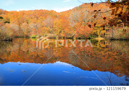 鎌池と周辺の秋の美しい風景 鎌池と周辺の秋の美しい風景 121159679