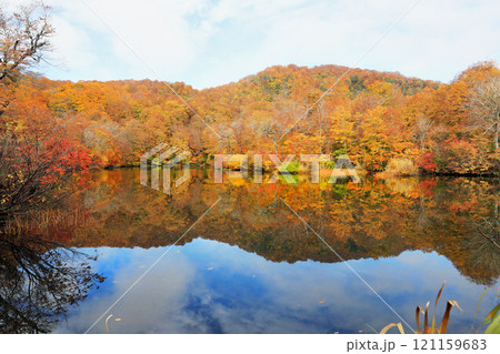 鎌池と周辺の秋の美しい風景 鎌池と周辺の秋の美しい風景 121159683