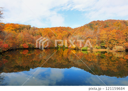 鎌池と周辺の秋の美しい風景 鎌池と周辺の秋の美しい風景 121159684
