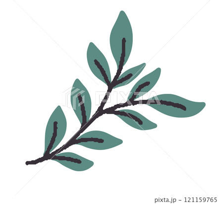 Minimalistic vector illustration leafy branch 121159765