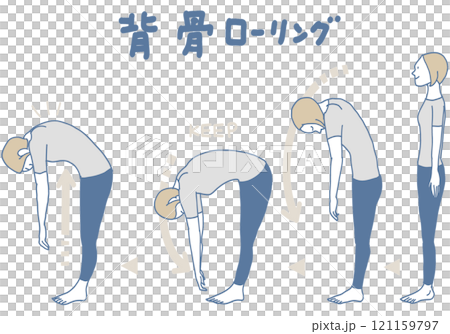 背骨ドローイング 背骨ドローイング 121159797