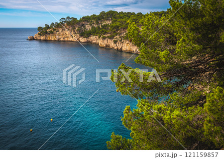 Admirable Calanque de Port Pin bay view, Cassis, Marseille, France 121159857