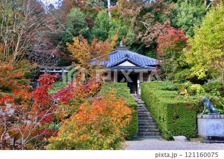 秋の大願寺(奈良県・宇陀市) 秋の大願寺(奈良県・宇陀市) 121160075