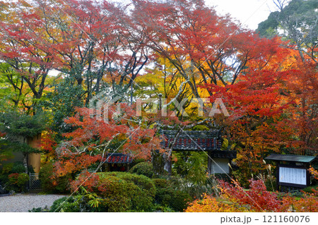 秋の大願寺(奈良県・宇陀市) 秋の大願寺(奈良県・宇陀市) 121160076