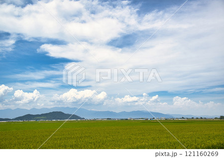 暑い夏の青い空 暑い夏の青い空 121160269