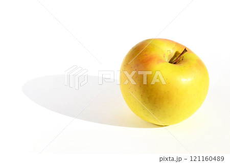 りんご（ぐんま名月） 121160489