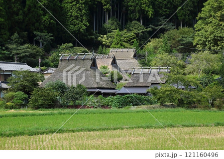 初秋の美山かやぶきの里 初秋の美山かやぶきの里 121160496