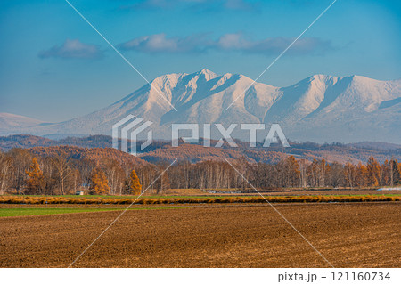 北海道の雪化粧の旭岳と紅葉 121160734