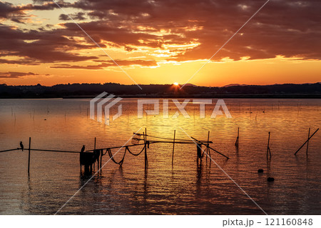 水鳥たちがいる涸沼夕景【茨城県茨城町親沢の鼻側】 121160848