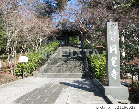 鎌倉市の円覚寺（総門） 121160925