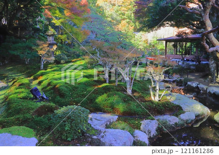 秋の旧竹林院（名勝庭園・大津市） 121161286