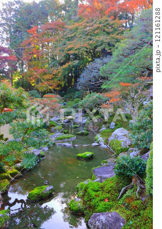 秋の旧竹林院(名勝庭園・大津市・縦構図) 秋の旧竹林院(名勝庭園・大津市・縦構図) 121161288