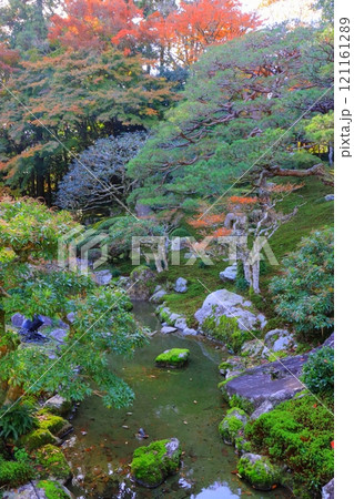 秋の旧竹林院(名勝庭園・大津市・縦構図) 秋の旧竹林院(名勝庭園・大津市・縦構図) 121161289