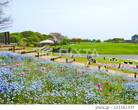 北九州市響灘緑地の都市公園グリーンパーク 121161335