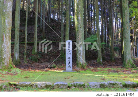 比叡山延暦寺（親鸞聖人ご修行の地・西塔地域） 121161404