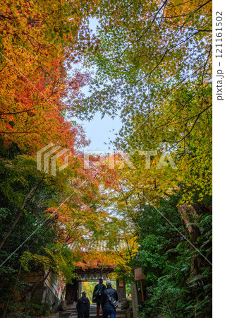 秋の京都の街並み　東山区にて撮影 121161502