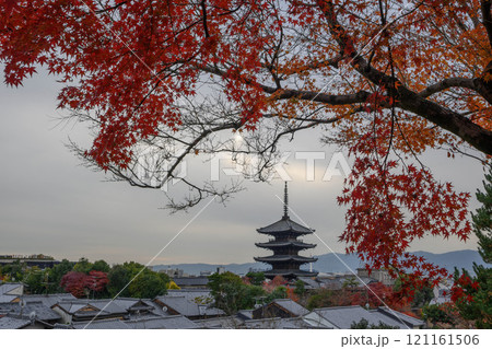 秋の京都の街並み　東山区にて撮影 121161506