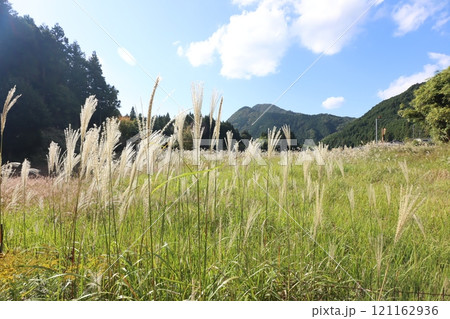 龍王ヶ淵 121162936