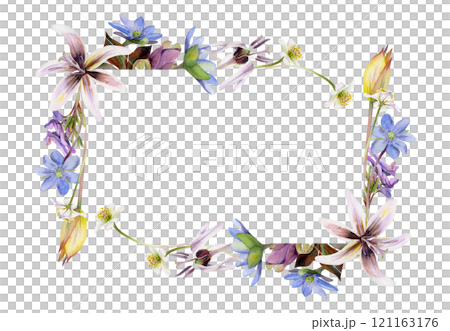 Spring flowers, trout lily, yellow tulip, blue hepatica forget-me-not, white forest anemone, purple corydalis hand drawn in watercolor. Border frame illustration for wedding, florist shop, stationery 121163176