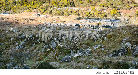 A rocky terrain features scattered stones and sparse vegetation, with a winding river flowing through the scenic landscape under bright daylight. 121163492