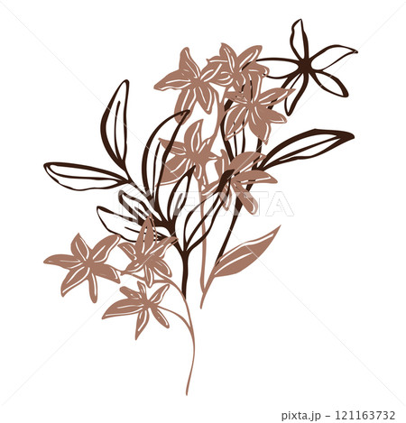 Minimalistic vector botanical illustration. bouquet with hand drawn flowers and leaves in mocha and brawn outlines. line art and silhouettes, emphasizing natural, organic beauty in a modern style Minimalistic vector botanical illustration. bouquet with hand drawn flowers and leaves in mocha and brawn outlines. line art and silhouettes, emphasizing natural, organic beauty in a modern style 121163732