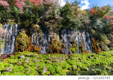 静岡県富士宮市　紅葉の白糸の滝 121163793