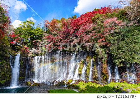 静岡県富士宮市　紅葉の白糸の滝 121163797