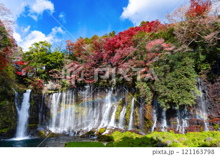 静岡県富士宮市 紅葉の白糸の滝 静岡県富士宮市 紅葉の白糸の滝 121163798