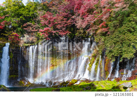 静岡県富士宮市 紅葉の白糸の滝 静岡県富士宮市 紅葉の白糸の滝 121163801
