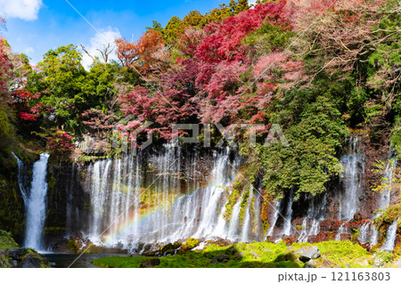 静岡県富士宮市　紅葉の白糸の滝 121163803
