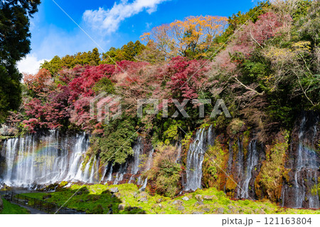静岡県富士宮市　紅葉の白糸の滝 121163804