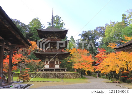 秋の西明寺（国宝三重塔・滋賀県甲良町） 121164068