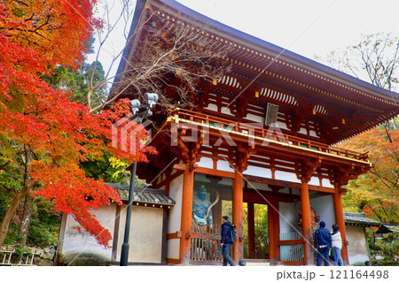 秋の室生寺・二王門(奈良県・宇陀市) 秋の室生寺・二王門(奈良県・宇陀市) 121164498