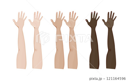 Front and palm side of arms vector illustration design 121164596