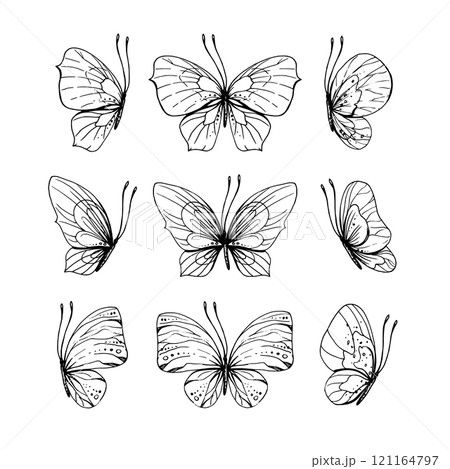 Butterflies flying, delicate line art, clip art. Graphic illustration hand drawn in black ink. Set of isolated objects EPS vector 121164797