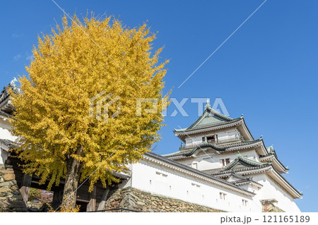 和歌山県和歌山市　紅葉の季節　快晴の和歌山城天守（秋） 121165189