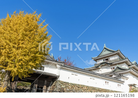 和歌山県和歌山市 紅葉の季節 快晴の和歌山城天守(秋) 和歌山県和歌山市 紅葉の季節 快晴の和歌山城天守(秋) 121165198