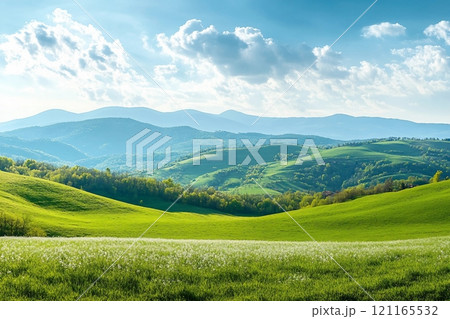panorama of beautiful countryside of romania. sunny afternoon. wonderful springtime landscape in mountains. grassy field and rolling hills. rural scenery 121165532