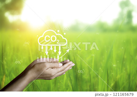 Carbon Credit Market and Net Zero in 2050. Carbon icon in hand on green background. Icon energy and environmental protection round green energy neutral carbon Net zero Carbon Credit Market and Net Zero in 2050. Carbon icon in hand on green background. Icon energy and environmental protection round green energy neutral carbon Net zero 121165679