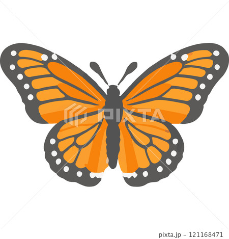 Wing Dreams Wings Insect Garden Nature Wing Dreams Wings Insect Garden Nature 121168471