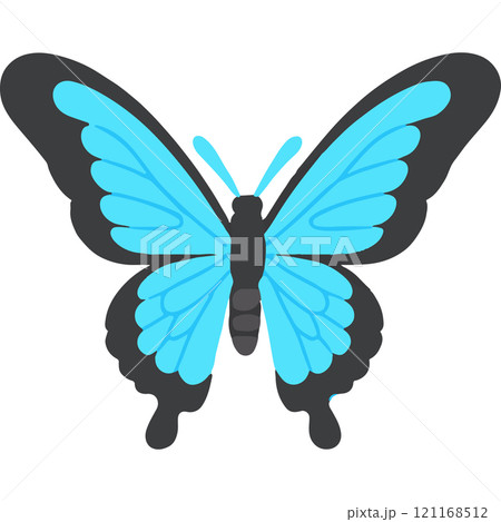 Butterfly Wings Insect Butterfly Journeys Living Art Butterfly Wings Insect Butterfly Journeys Living Art 121168512