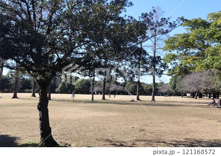 岸根公園 ひょうたん原っぱ（横浜市港北区） 121168572