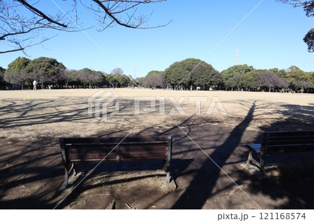 岸根公園 ひょうたん原っぱ(横浜市港北区) 岸根公園 ひょうたん原っぱ(横浜市港北区) 121168574