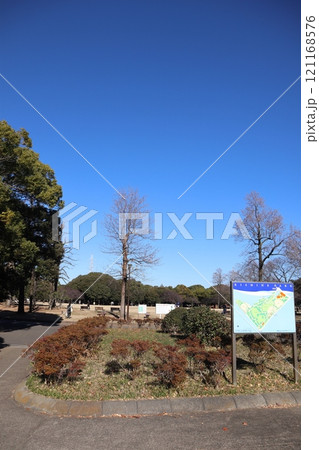 岸根公園（横浜市港北区） 121168576