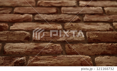 Pine forest after a large scale fire in France, Landscape of a burnt forest, New green vegetation after a forest fire 121168732