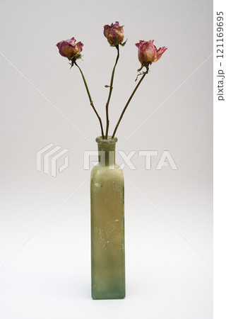 a single vintage green glass bottle holding three dried pink roses a single vintage green glass bottle holding three dried pink roses 121169695