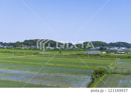 静岡県湖西市の風景 121169937