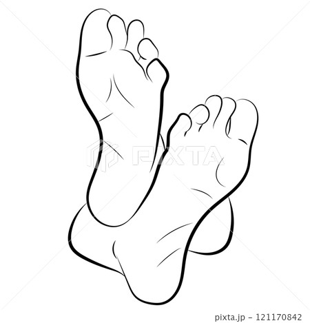 Woman Feet, Human feet. sole, heel and toes, healthy skin, toenails, body part, human body anatomy elements, Woman Feet, Human feet. sole, heel and toes, healthy skin, toenails, body part, human body anatomy elements, 121170842