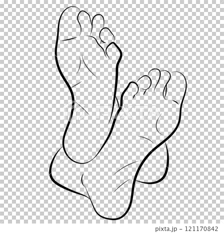 Woman Feet, Human feet. sole, heel and toes, healthy skin, toenails, body part, human body anatomy elements, Woman Feet, Human feet. sole, heel and toes, healthy skin, toenails, body part, human body anatomy elements, 121170842