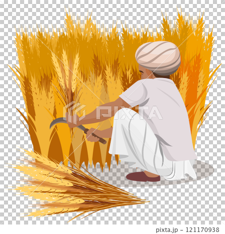farmer harvesting wheat crops, indian agriculture farmer harvesting wheat crops, indian agriculture 121170938